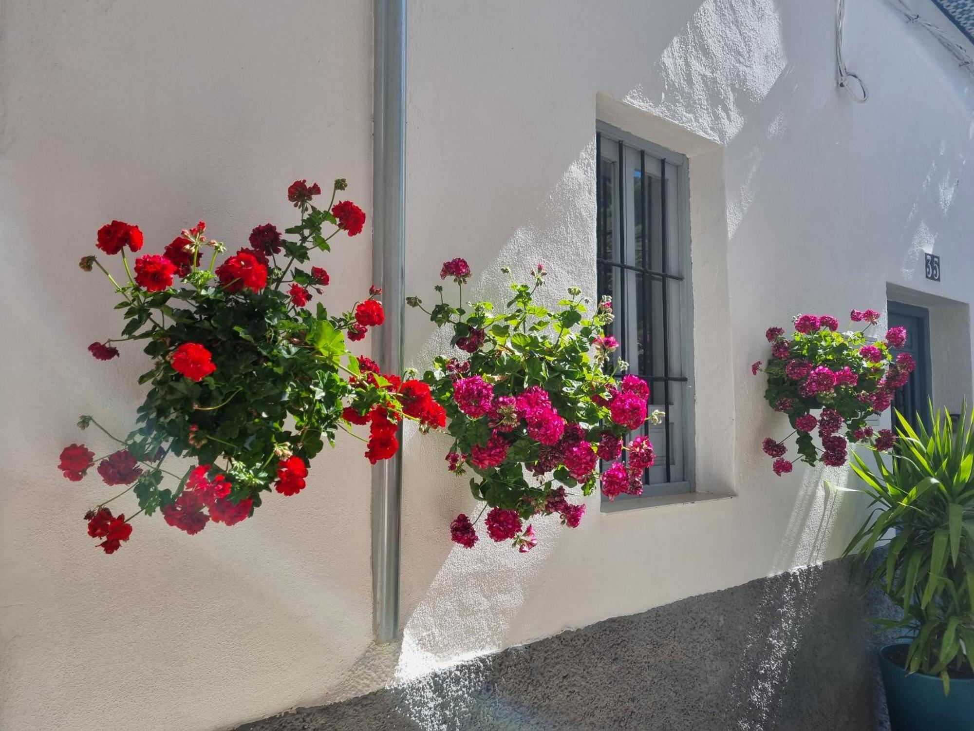 Casita Cazorla Βίλα Εξωτερικό φωτογραφία